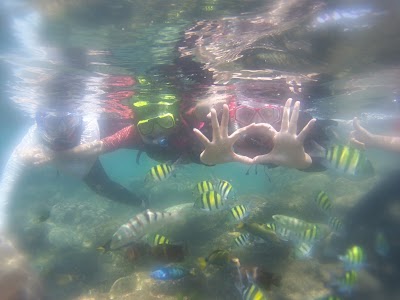 Photos of Wisata Snorkeling "Slulup Adventure"