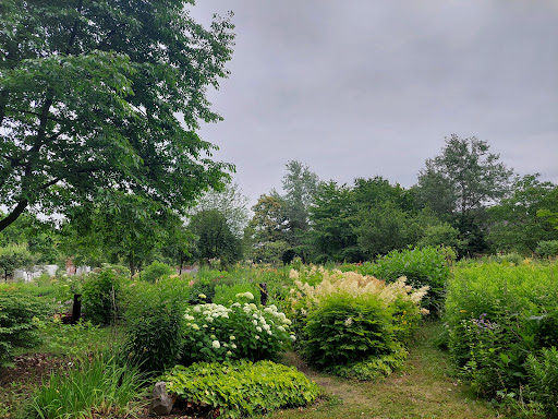 Foundation Hortus Nijmegen - Thumbnail