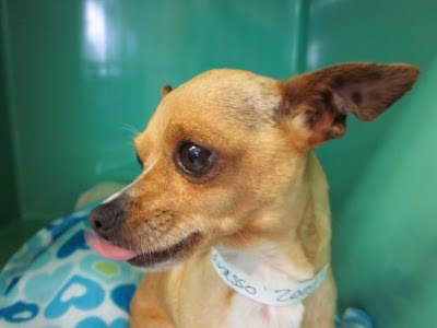 Photos of La Cumbre Animal Hospital