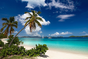 Photo n°7 de Agence de Voyages Club Med Nice à Nice (Service de transport)