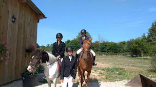 Photo n°5 de TD POLO TEAM à Saint-Gatien-des-Bois (Centre équestre)