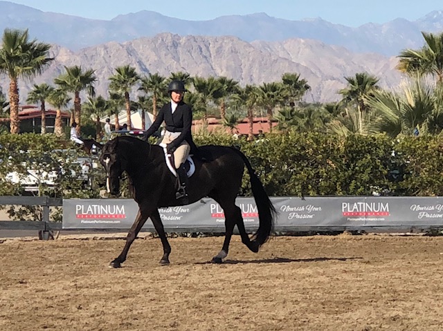 Jasmin Stair Stables