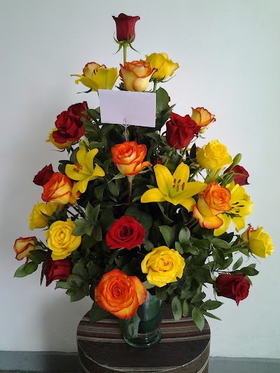 Photos of Floristeria Victoria Regia