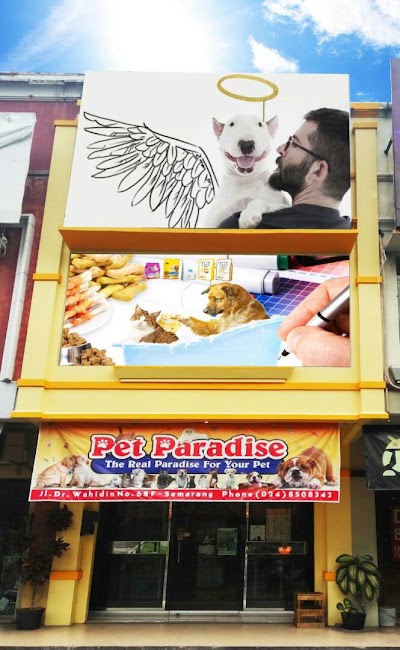 Photos of Pet Paradise