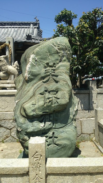 Photos of Hamakatsu