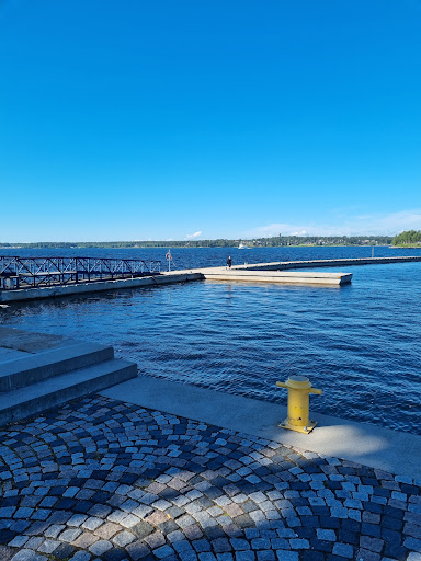 South Harbour - Thumbnail