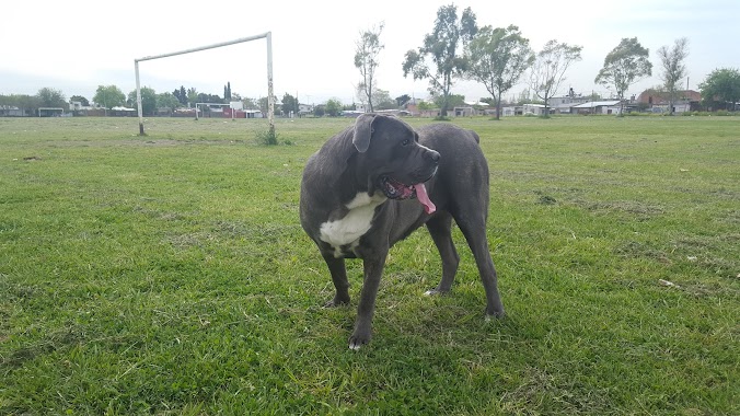 Cancha De Los Patos., Author: Claudio Cambiasso