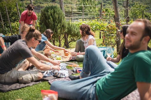 Consorzio Vignaioli del Trentino - Thumbnail
