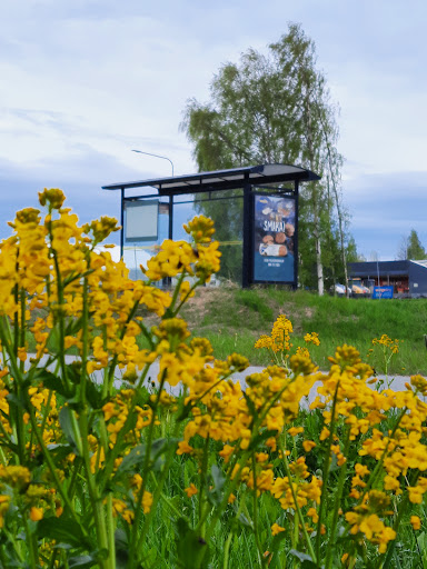 Björkskataleden - Visual