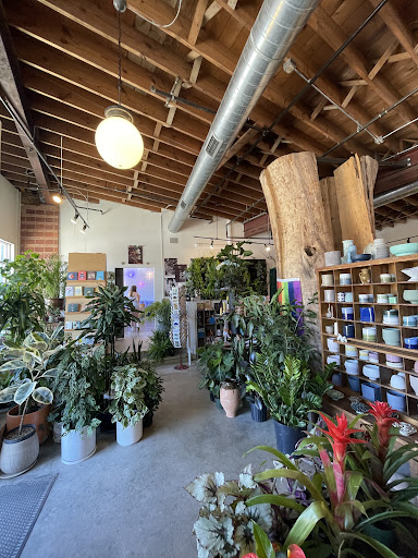 Darling Botanical Company - Thumbnail