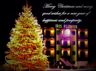 Photos of Iris Flower Hotel