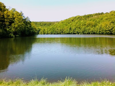 Photos of Marian valley
