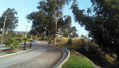 Photos of Mirador Sausalito