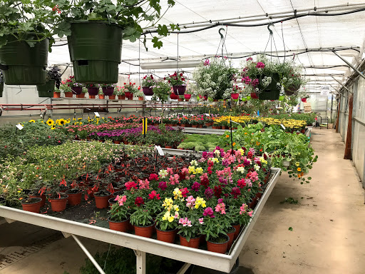 High School Paysage Et De L'horticulture - France
