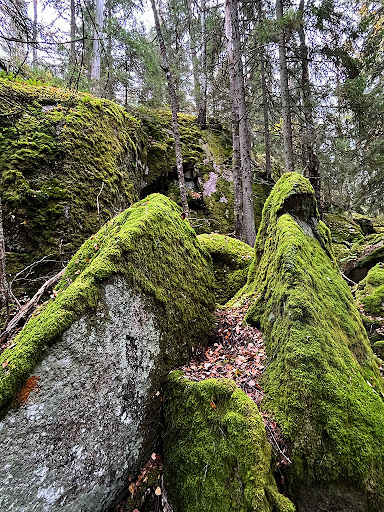 Ugglehöjden - Visual