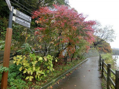 Photos of 一碧湖