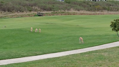 Photos of Kingswood Golf Estate