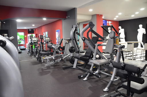 ABfitness Sculture Gallery - Spain