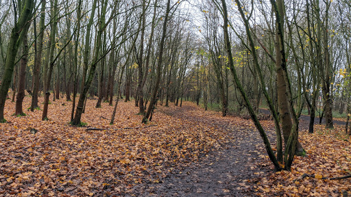 Havannah Nature Reserve Gallery - United Kingdom