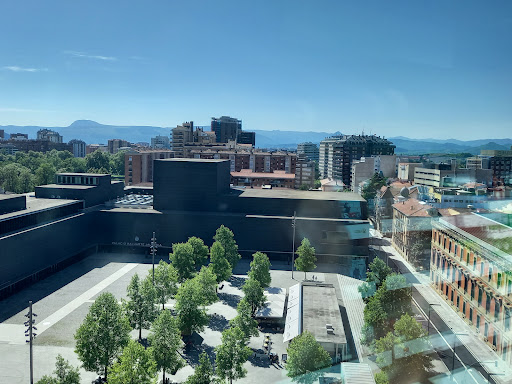 Auditorio Baluarte - Visual