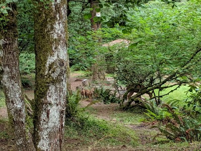 North Albany County Park