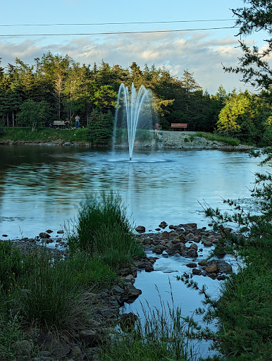 Power's Pond Park Duck Pond - Thumbnail