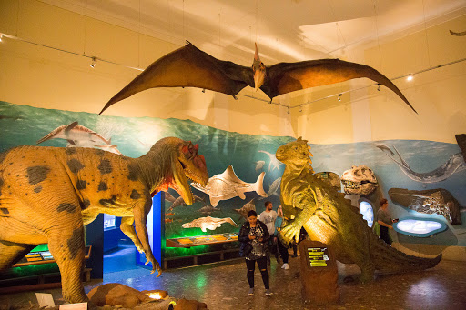 Museum of Natural History and Technology