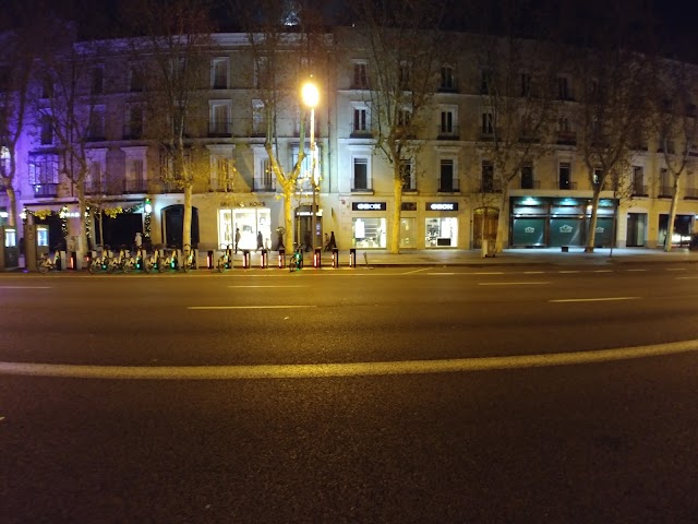 Saint Laurent Calle Serrano Store