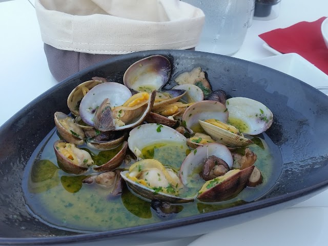 MAYA BEACH CLUB IBIZA