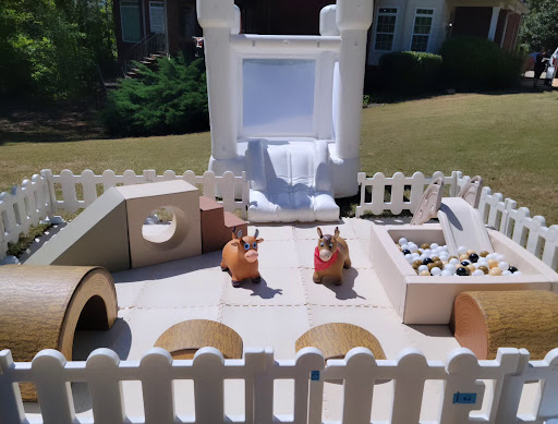 Teeny Tiny Fun Soft Play Rental LLC