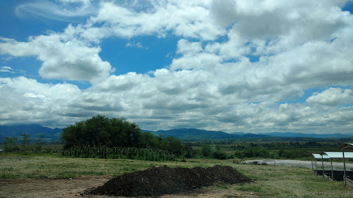 Agricultores Unidos Región Guayangareo SPR de RL - Thumbnail