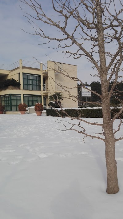Photos of Hotel del Campo