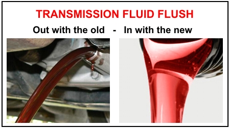 WEBB'S Auto Diagnostics - Visual