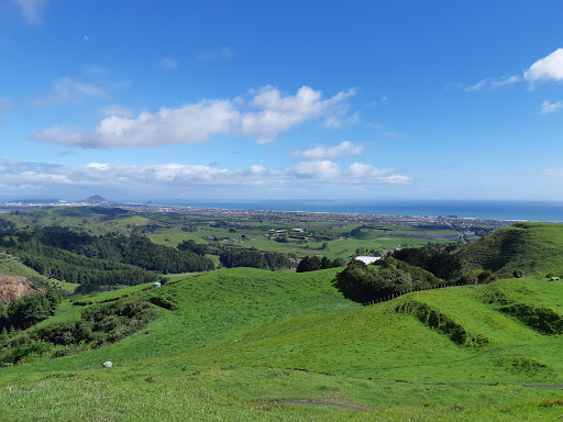 Papamoa Hills Cultural Heritage Regional Park - Thumbnail