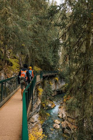 Johnston Canyon Lodge & Bungalows by null