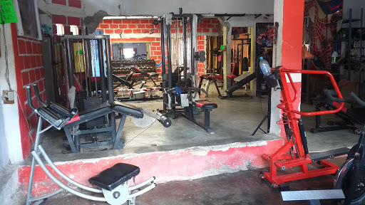 Gimnasio Pitbull