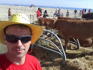 Photo n°27 de Groupe Vétérinaire Cerdagne Capcir à Bourg-Madame (Vétérinaire)