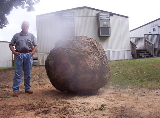 RV's Tree Service - Thumbnail