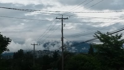 Photos of Burnaby Mountain