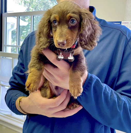 Hope Veterinary Group - Thumbnail
