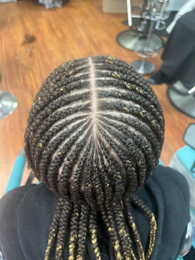 Braid Nation - Visual