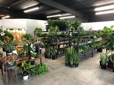 San Antonio Flower Co