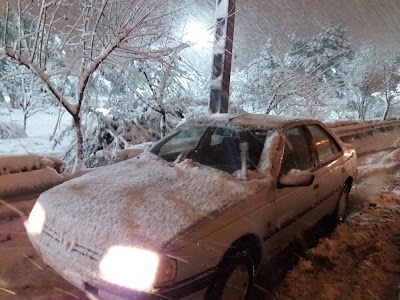 Photos of Shaqayeq