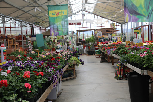 Alba Garden Center - Thumbnail