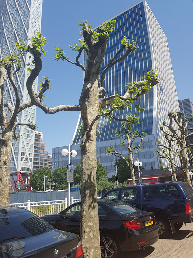 Canary Wharf Chambers - Thumbnail