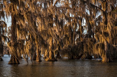 Lake Martin, LA