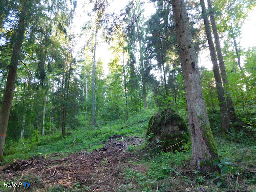Rauhe Steige Nature Reserve - Thumbnail