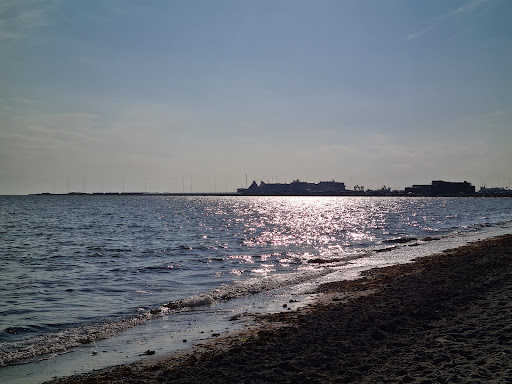 Hundbadplats Trelleborg - Thumbnail