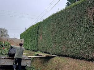 Photo n°4 de Bouvier Gianni à Saint-Hilaire-du-Harcouët (Service d'élagage)