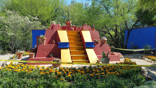 Tucson Botanical Gardens